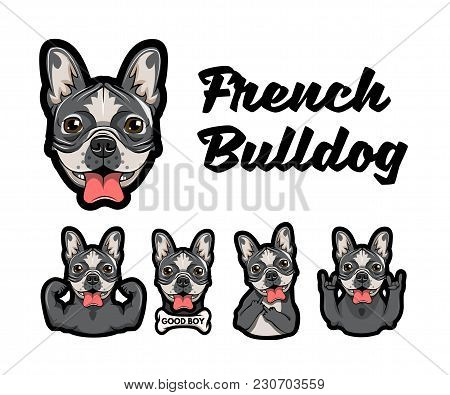 French Bulldog With Different Gestures. Dog With Muscules, Bone, Middle Finger, Horns And Rock Gestu