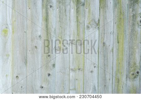 Vintage Light Texture Background. Pank Pattern Surface Wall. Gray Board Texture Fence Natural