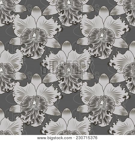 Seamless Floral Pattern Orchids Flower With Countur.
