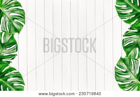 Frame Of Tropical Leaves Monstera On A White Wooden Background With Space For Text. Top View, Flat L
