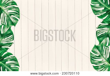 Frame Of Tropical Leaves Monstera On A White Wooden Background With Space For Text. Top View, Flat L