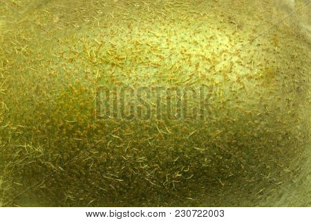 Kiwi Fruit Peel Macro Texture  Peel Abstract,