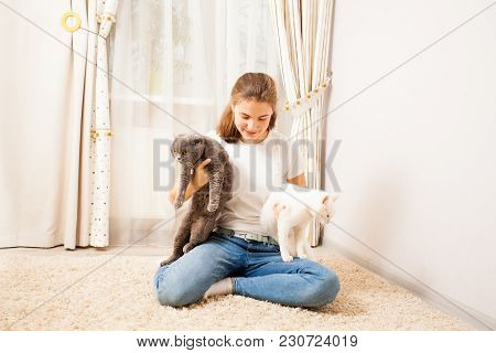 The Girl Is Sitting On The Carpet And Holding One Grey Cat And One White Cat