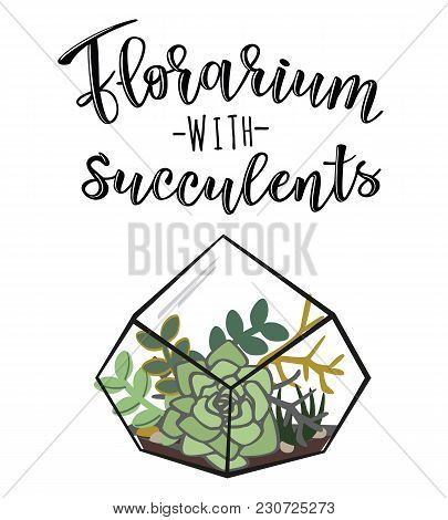 Vector Illustration Of A Florarium With Succulents. Infographic Poster Design With Succulent Flower 