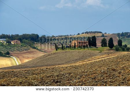 Country Landscape Along The Road From Asciano To Torre A Castello, Siena, Tuscany, Italy, At Summer