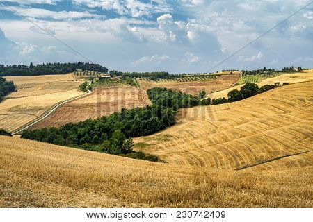 Country Landscape Along The Road From Asciano To Torre A Castello, Siena, Tuscany, Italy, At Summer