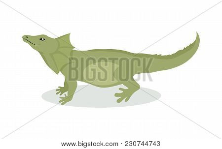 Lizard Cartoon Character. Green Lizard Flat Vector Isolated On White. South America Fauna. Lizard Ic