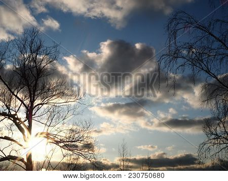Evening Sky With Sun And Leafless Trees In Winter