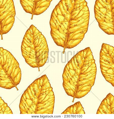 Seamless Pattern With Dried Yellow Leaves On White Background. Floral Pattern. Vector Illustration W
