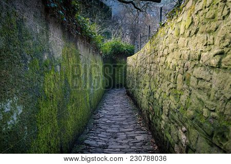 Unusual Stone Road In The Park. Colorful Passage In Recreation Area. Green Corridor With Plants And 