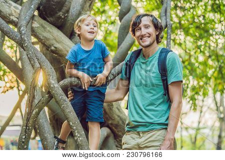 Father And Son Watching Tropical Lianas In Wet Tropical Forests.