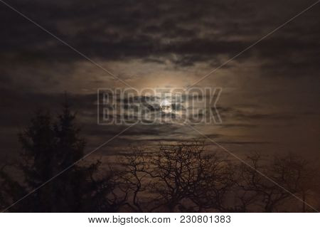 Moon In A Cloudy Sky.
Night, Slightly Cloudy Sky. The Clouds Are Arranged In Parallel Layers. Behind