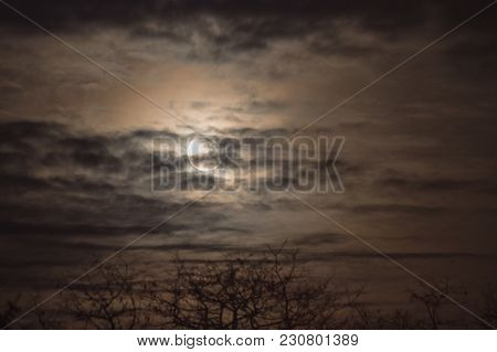 Moon In A Cloudy Sky.
Night, Slightly Cloudy Sky. The Clouds Are Arranged In Parallel Layers. Behind