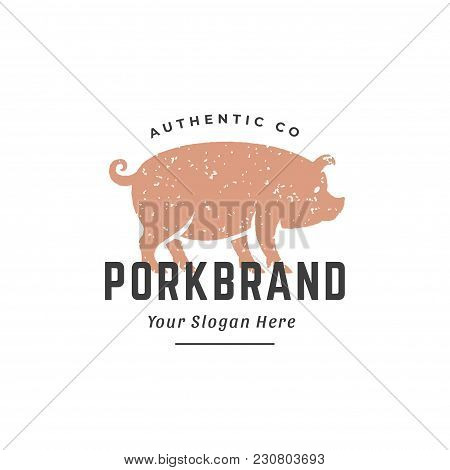 Pig Hand Drawn Logo Isolated On White Background Vector Illustration For Labels, Badges, T-shirt And