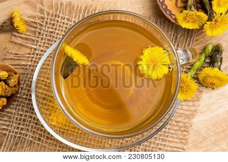 Fresh Coltsfoot (tussilago Farfara) Flowers With Coltsfoot Tea, Top View