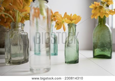 Blooming Yellow Ornithogalum Dubium In A Transparent Bottle Instead Vase
