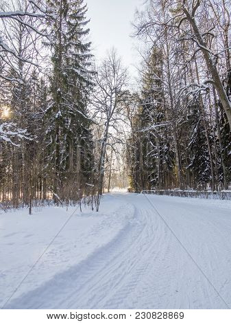 Snow-covered Alley In The Imen Park After A Snowfall On A Sunny Winter Day