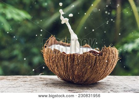 Coconut Fruit And Milk Splash Inside It On A Background Of A Palm Tree.