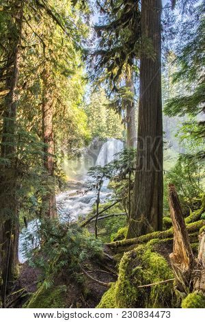 Sahalie Falls Basin Through Forest On Sunny Summer Morning