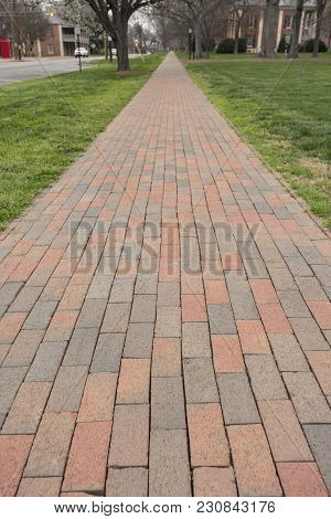 Brick Sidewalk Lined Street Of Campus And Town Is Scenic And Enjoyed By All With Trees Lining The Wa