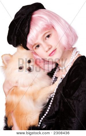 Diva-Pomerânia aconchegar