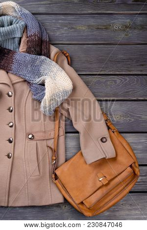 Winter Clothing And Handbag. Warm Topcoat And Scarf.