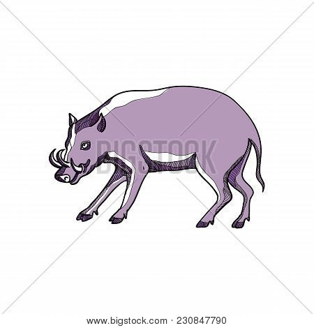 Drawing Sketch Style Illustration Of A Babirusa Or Deer-pig, A Genus, Babyrousa, In The Swine Family