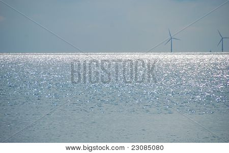 海