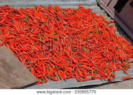 Dry Chill Pepper Outdoor For Making Food Ingredient