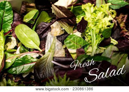 Fresh Salad With Mixed Greens Lettuce Arugula, Mesclun Mache Close Up Healthy Food Meal