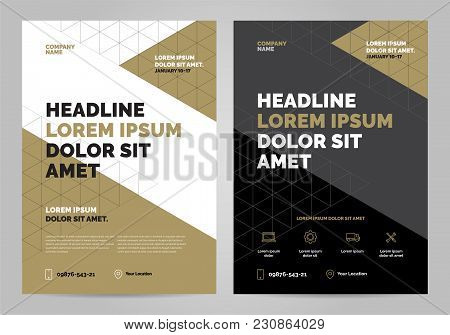 Brochure Layout Template Design