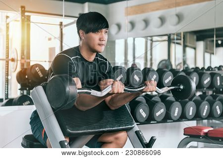 Portrait Of An Athletic Young Man Working On His Biceps By Lifting A Barbell In The Gym