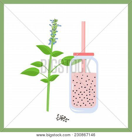 Chia Pudding Vector Illustraition. Healthy Super Food, Raw Plant Based Dessert.
