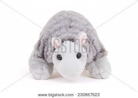 Pluche Armadillo Toy