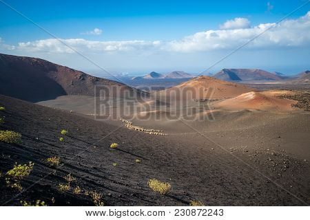 Volcanic Landscape At Timanfaya National Park, Lanzarote Island, Canary Islands, Spain
