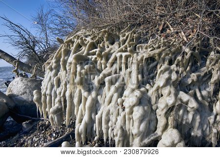 Ice Covered Treeroots On The Beach. Danish Beach In A Winter After Eastern Storm.