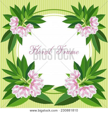 Vector Round Banner With Pomegranate Fruits. Ruby Flower.