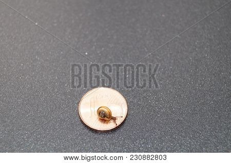 Low Interest - Money Is Only Slowly Increasing Like A Snail