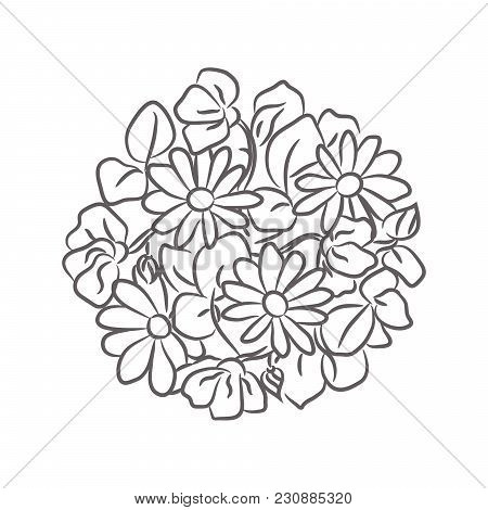 Chamomile Floral Rosette Vector Isolated Composition. Line Style Hand-drawn Flowers In A Circle Shap