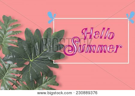 Flat Lay, Creative Nature Tropical Leaves Frame On Pink Background. Hollo Summer Concept