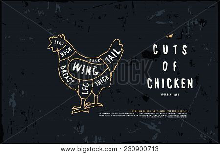 Stock Vector Chicken Cuts Diagram In The Style Of Handmade Graphics. Illustration With Rough Texture