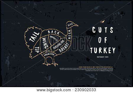 Stock Vector Turkey Diagram In The Style Of Handmade Graphics. Illustration With Rough Texture. Colo