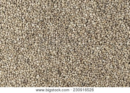 Hemp Seeds Are Scattered As A Background, Space For Text