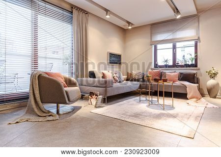 Spacious Grey Apartment Interior