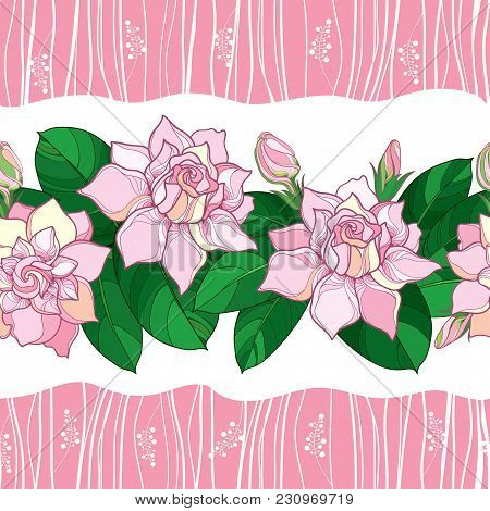 Vector Seamless Pattern With Outline Gardenia Flower In Pastel Pink Color. Ornate Bud And Green Leav