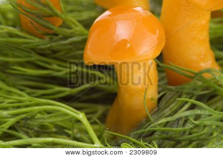 Pilze