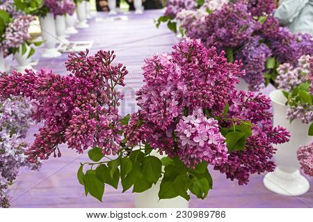 Lilac Of The Species Of Esther Staley In A Bouquet