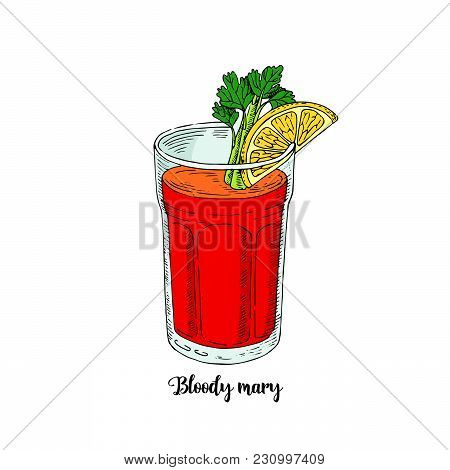 Cocktail Bloody Mary In Sketch Style For Menu, Cocktail Cards.