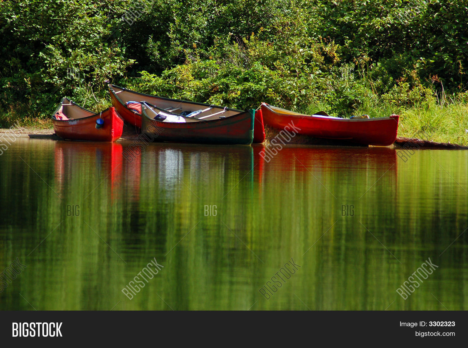 Image Preview