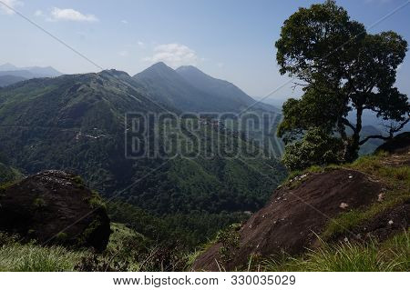 Panorama Over The Green Lush Tea Plantations In Munnar, India